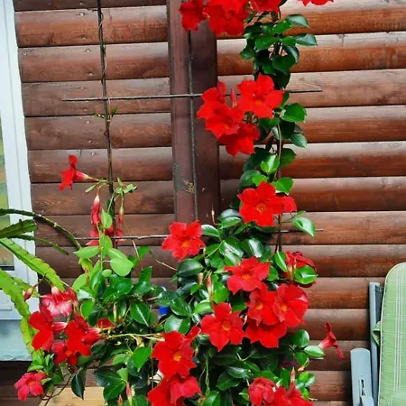 Lejlighed Gemuetliche Fuer Monteure Und Gaeste Eilsleben