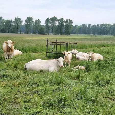 Gemuetliche Fuer Monteure Und Gaeste