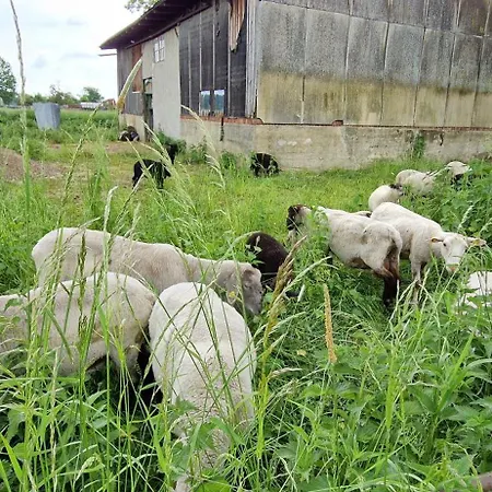 Lejlighed Gemuetliche Fuer Monteure Und Gaeste