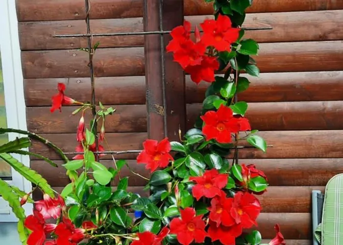 Διαμέρισμα Gemuetliche Fuer Monteure Und Gaeste Eilsleben