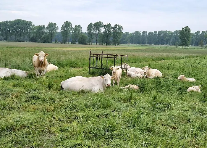 Gemuetliche Fuer Monteure Und Gaeste