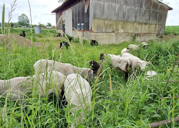 Διαμέρισμα Gemuetliche Fuer Monteure Und Gaeste